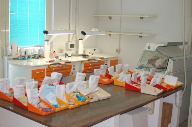 Lab Images